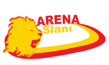 Arena Aslanı Hakkında Resim